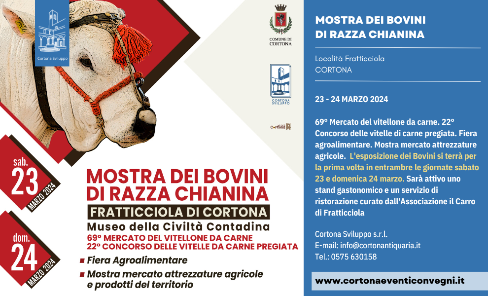 Mostra Bovini Cortona